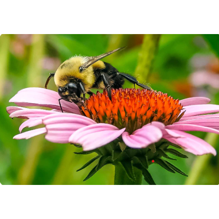 Main Slider Image